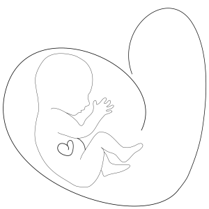 Κλειώ Β. Λάσκαρη